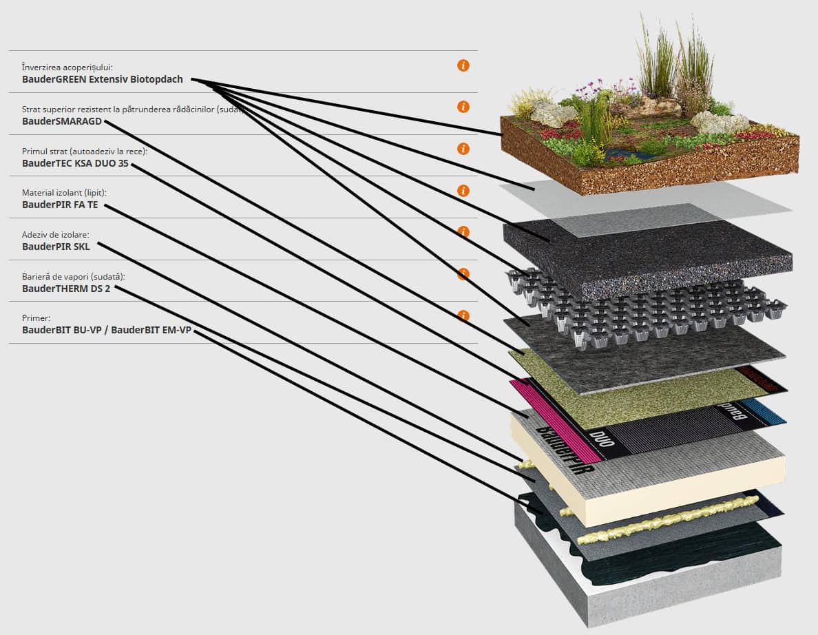 Bauder – acoperiș verde