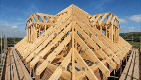 Detaliu elemente și unelte Banatica