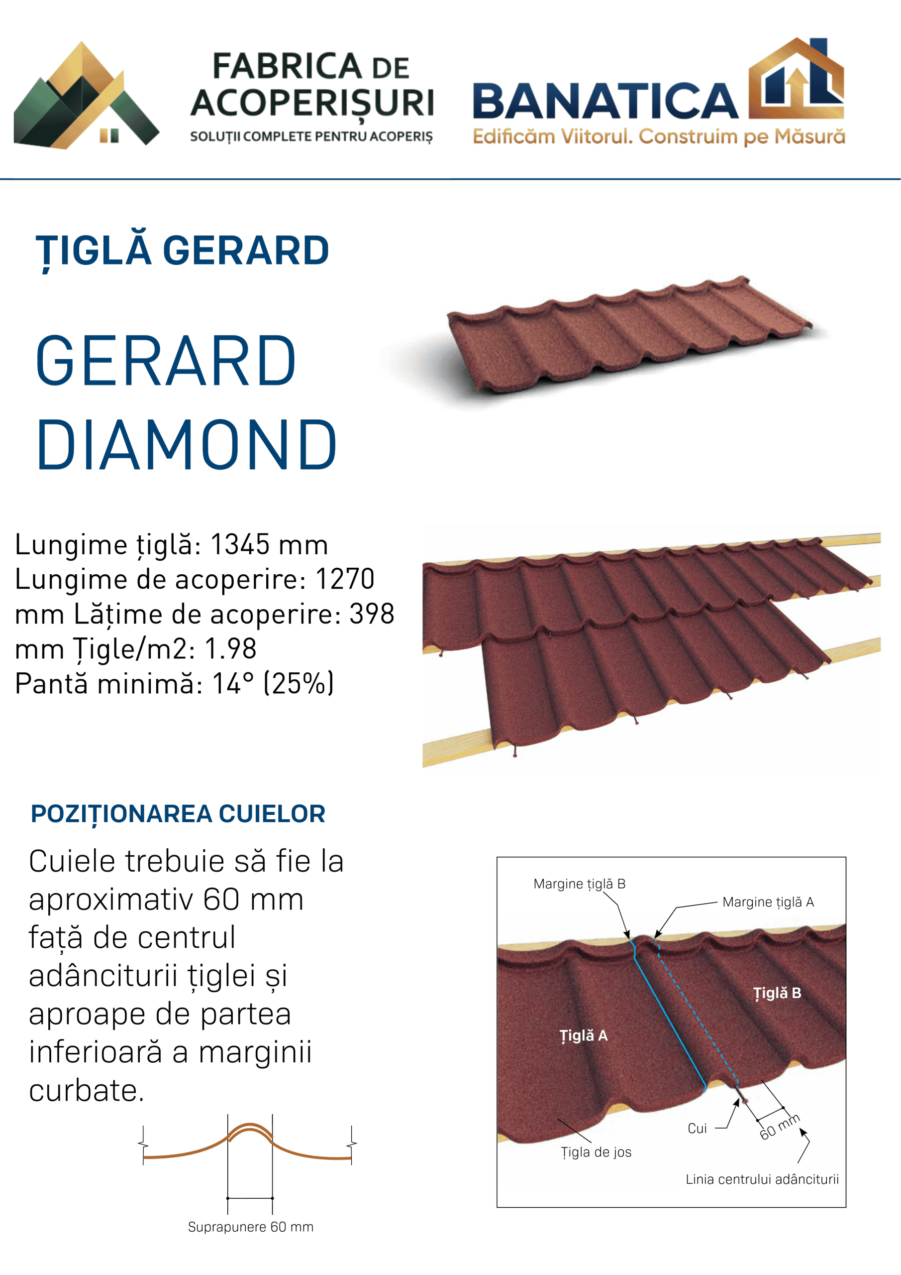 Gerard Diamond – fișă model